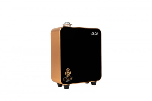 PRO 3 GOLD