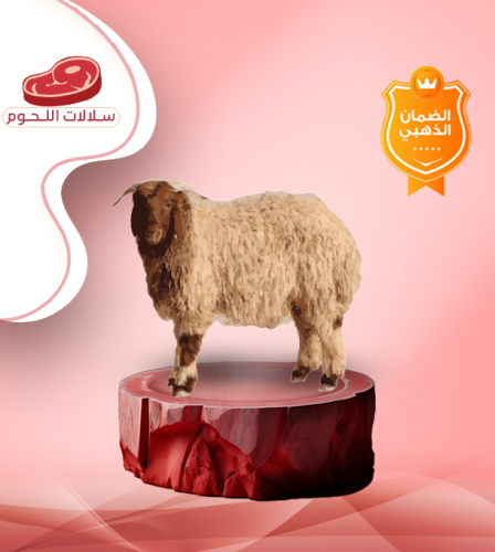 نعيمي هرفي وسط