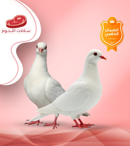 زوج حمام فرنسى جامبو