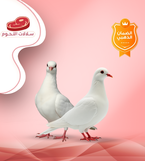 زوج حمام فرنسى وسط