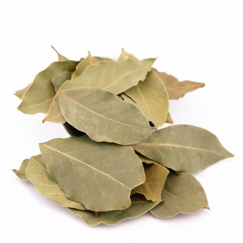ورق غار