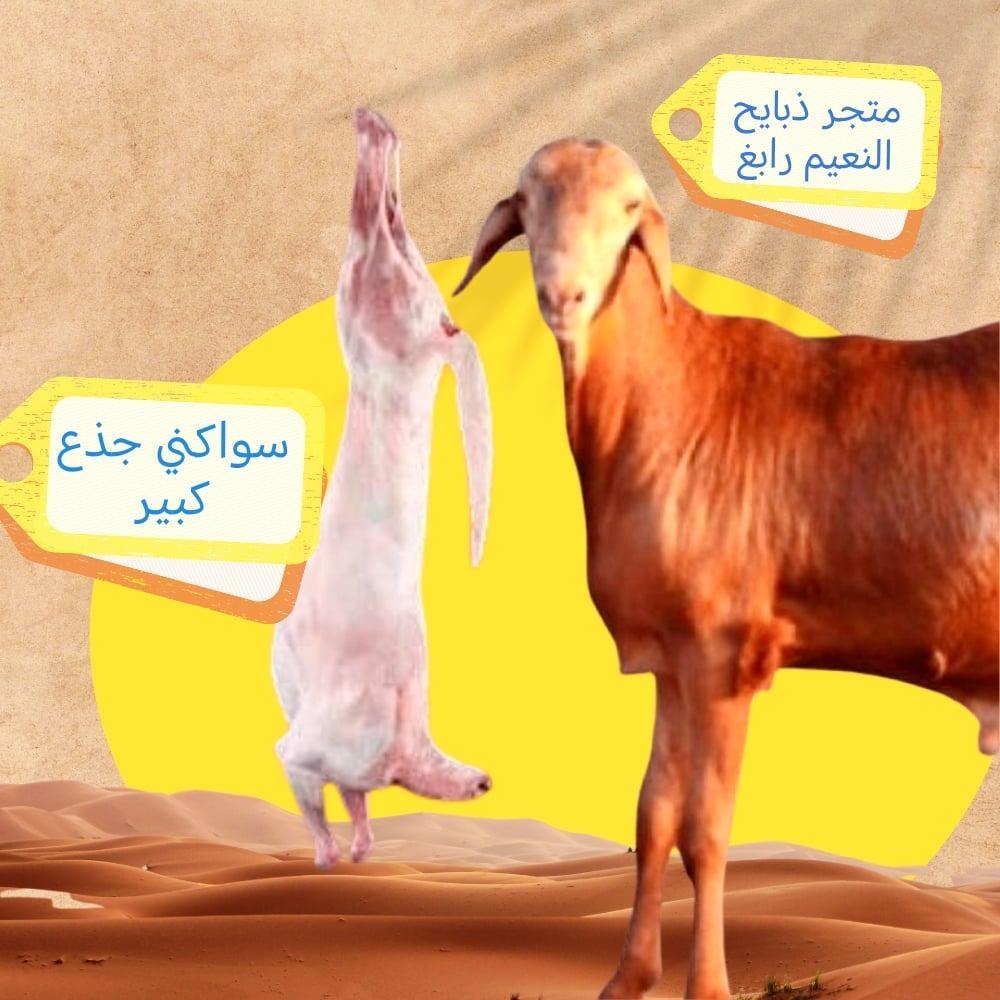 سواكني تربيه الطايف 6شهور