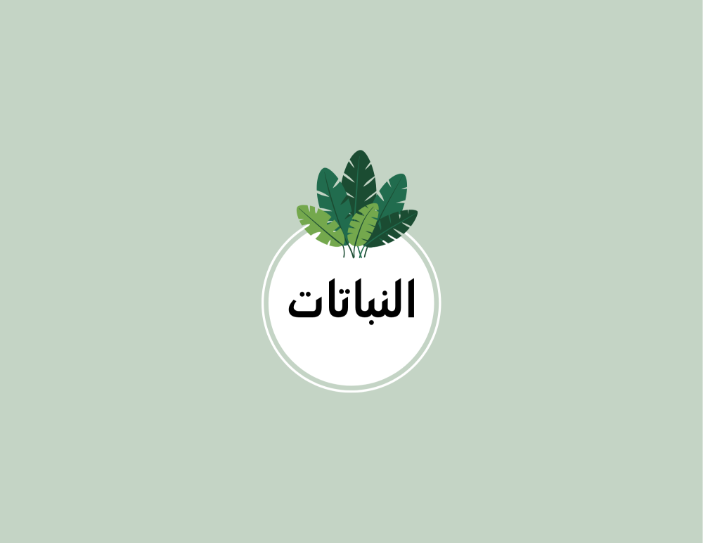 مطوية النباتات الصف الخامس العلوم