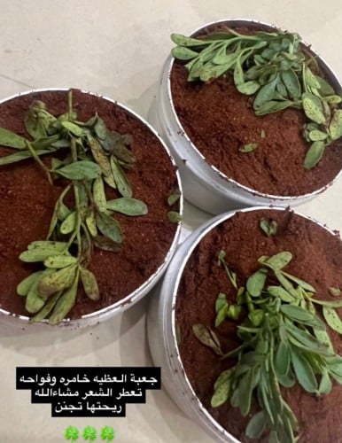 جعبة العظيه ريحتها روعه