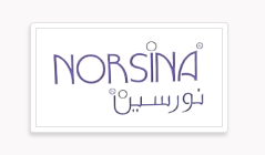 Norsina