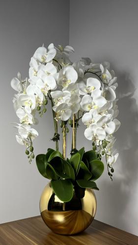 Modern Orchid Vase