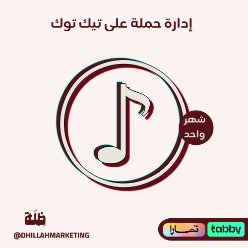 إدارة حملة على منصة (تيك توك)