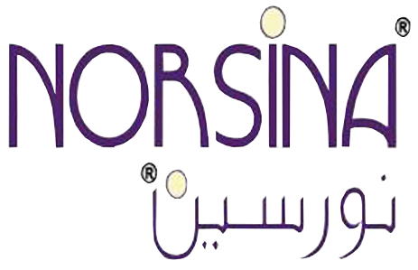 نورسينا
