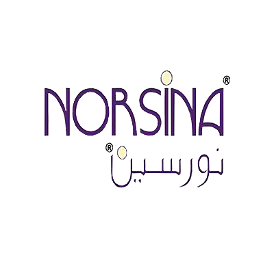 نورسين