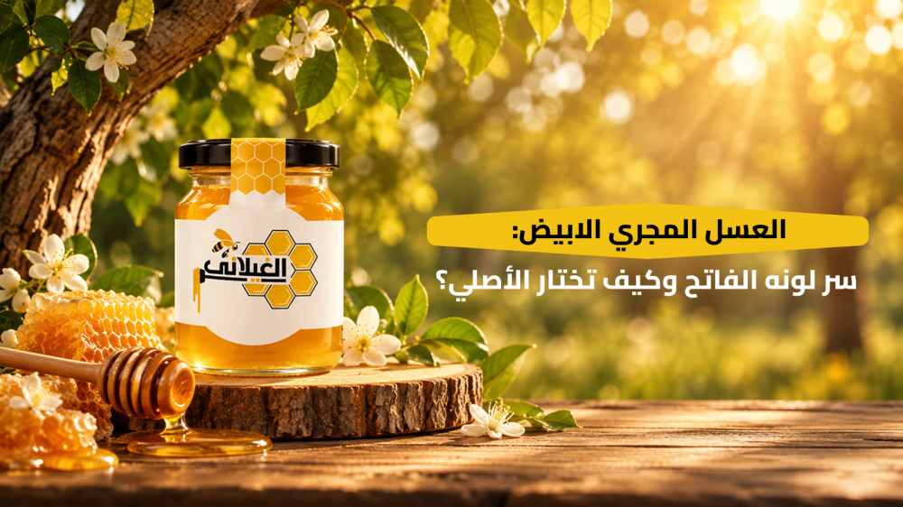 العسل المجري الابيض: سر لونه الفاتح وكيف تختار الأصلي؟