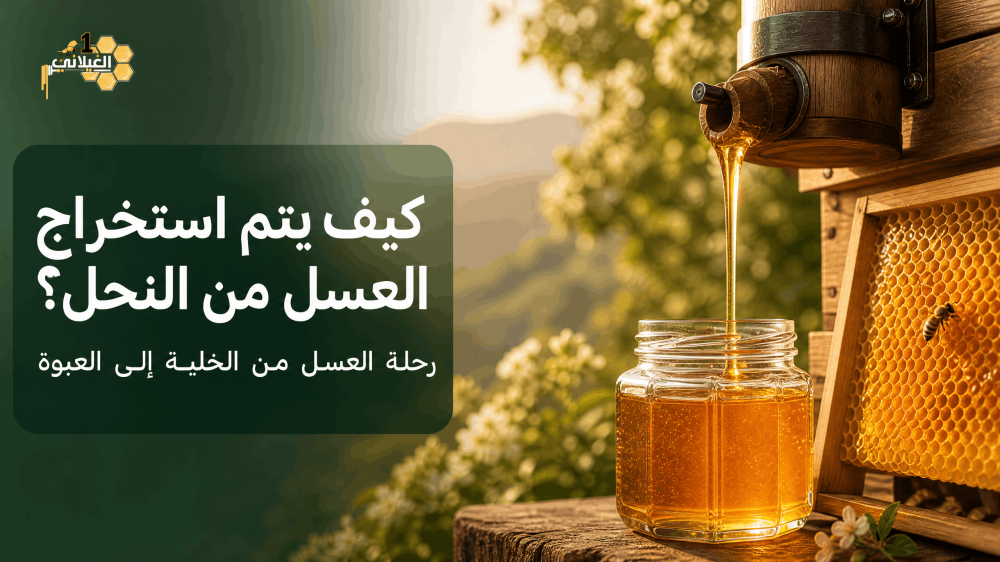 كيف يتم استخراج العسل من النحل؟ رحلة العسل من الخلية إلى العبوة