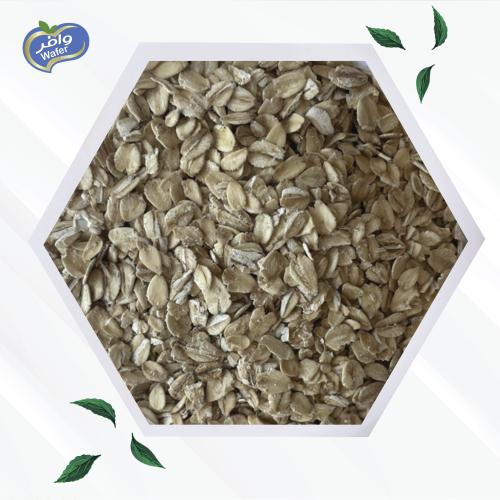 Whole Grain Oats - شوفان حب كامل