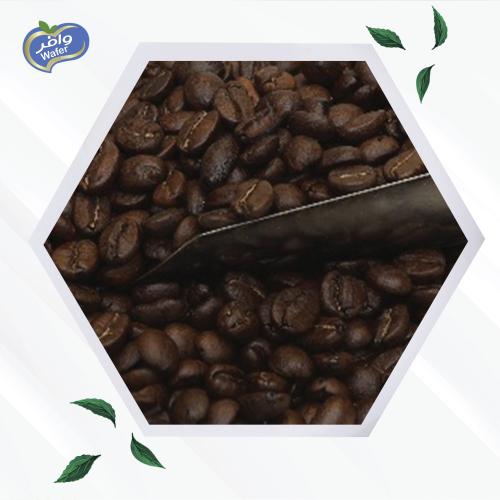 Brazilian Coffee Beans - بن قهوة برازيلية