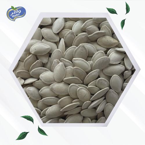 Salted Zucchini Seeds - حب كوسه مملح