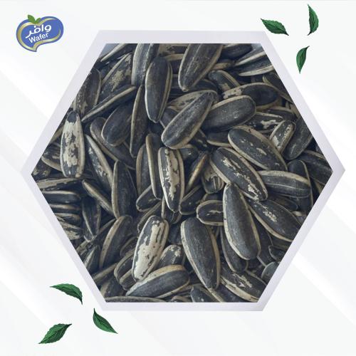 Sunflower Seeds Salted - حب دوار الشمس مملح