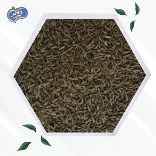 Indian Cumin Seeds - كمون هندي حبوب