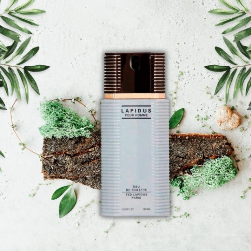 Ted Labidus Labidus Eau de Toilette - 100ml | Nouvona