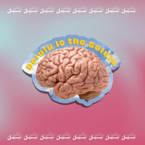 ملصـق Delulu is the solulu