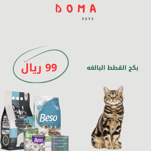 بكج القطط البالغه