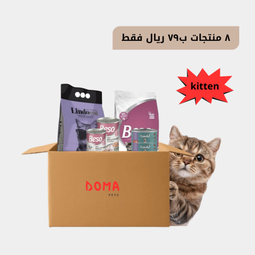 البوكس التوفيري للقطط الصغيره