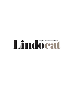 Lindocat – رمل عالي الامتصاص