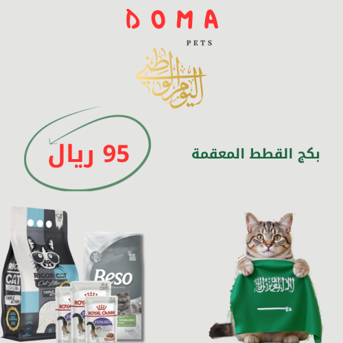 بكج اليوم الوطني القطط المعقمه
