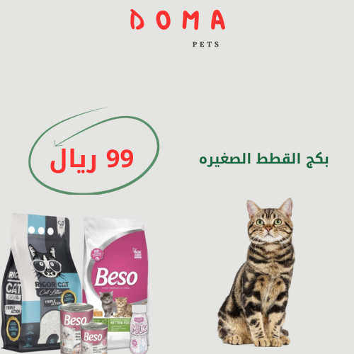 بكج القطط الصغيره