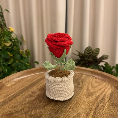 Red Crochet Flowers