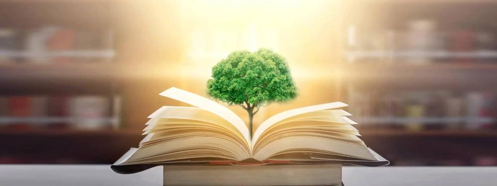 اهميه قراءه الكتب