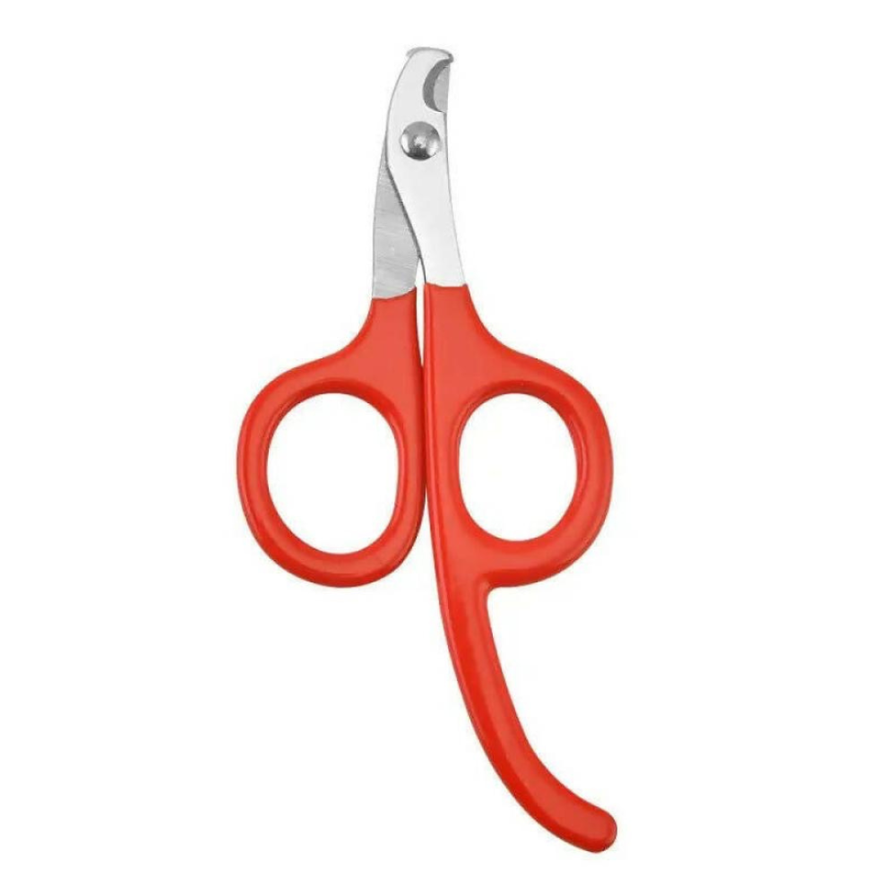 قصاص أظافر مدخل كبير للقطط