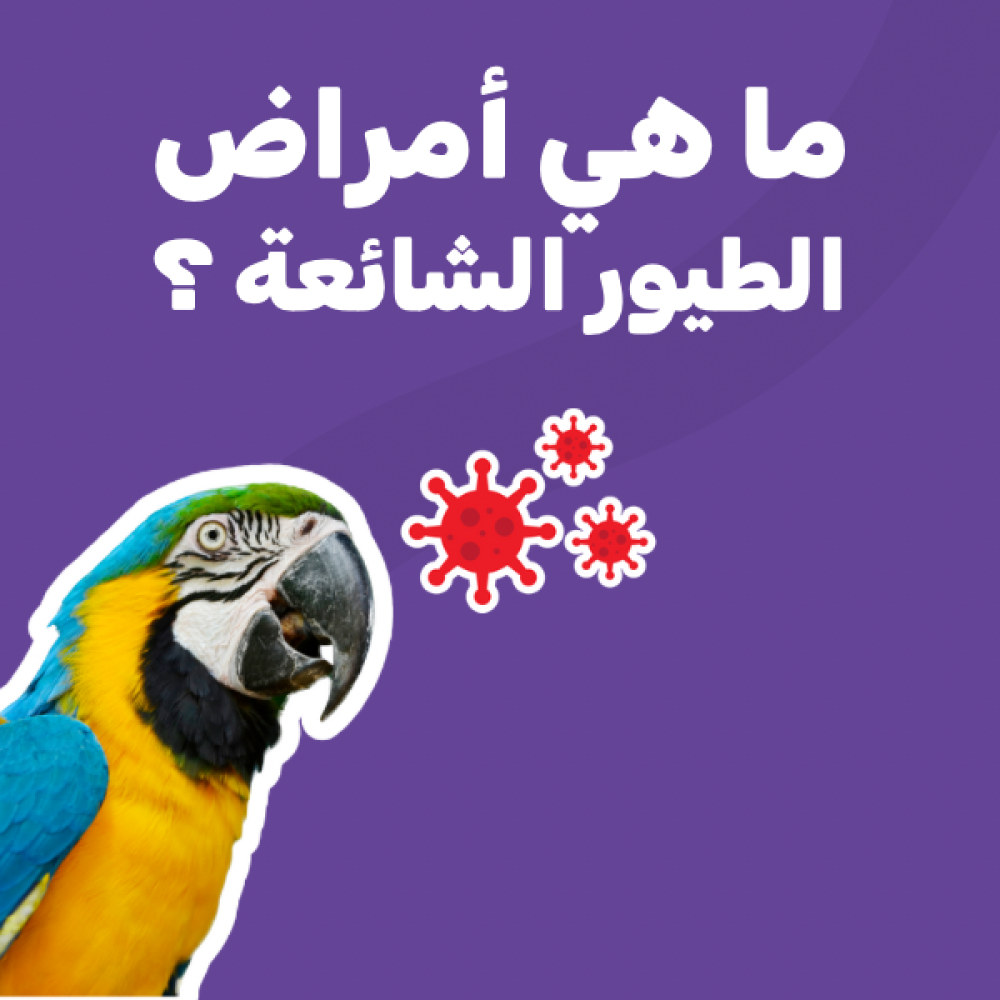 ما هي أمراض الطيور الشائعة ؟
