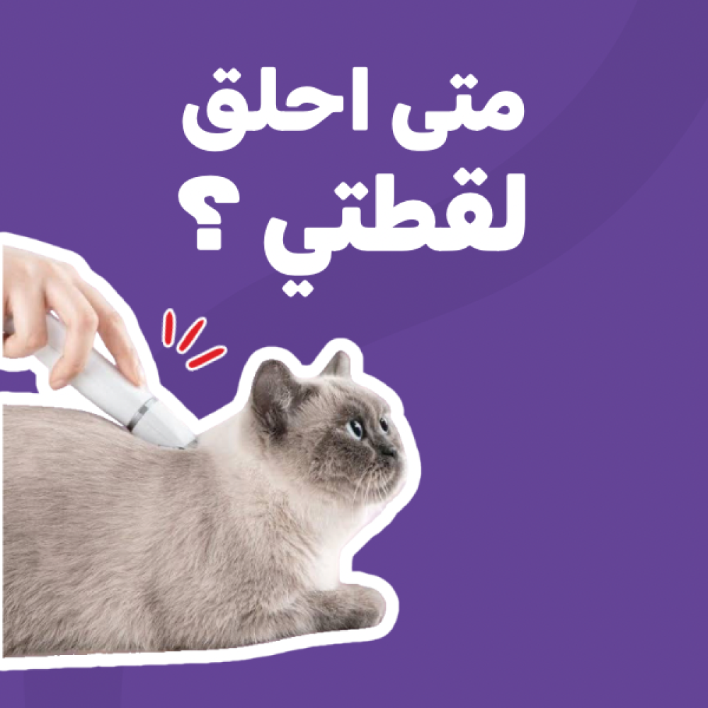 متى احلق لقطتي ؟