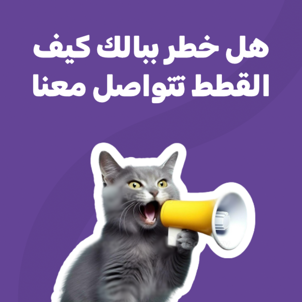 هل خطر ببالك كيف القطط تتواصل معنا ؟