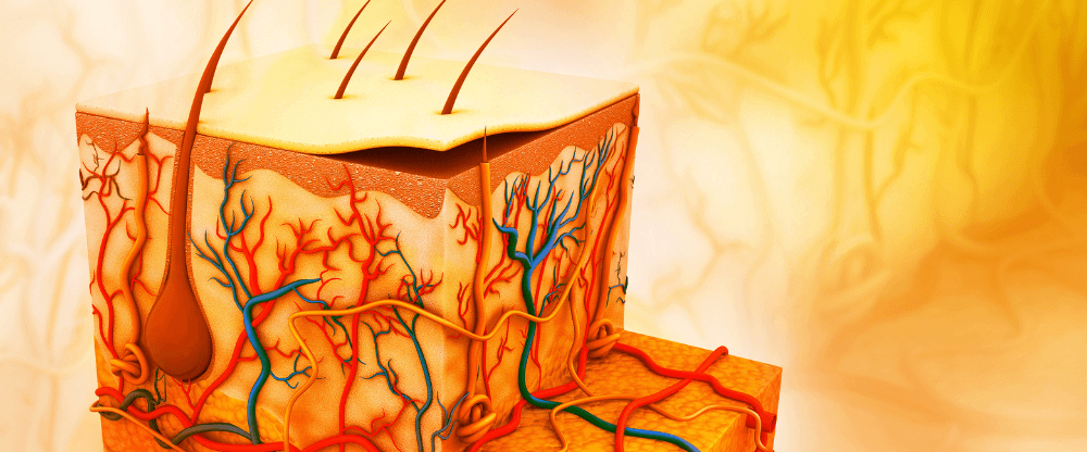 فوائد الكولاجين للبشرة والشعر: اكتشف كيف يحسن الجمال والمرونة