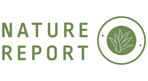 ناتشورال ريبورت