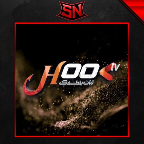 اشتراك hook tv سنة ( جهازين )