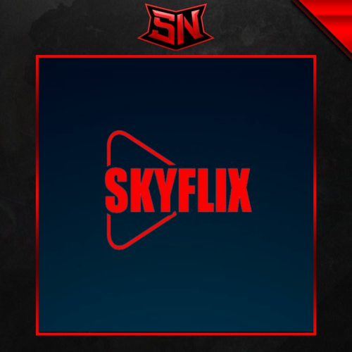 اشتراك سكاي فلكس 6 شهور