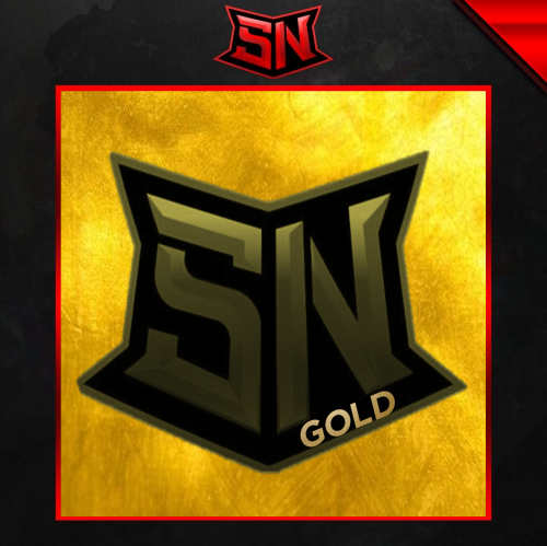 اشتراك sn gold سنتين