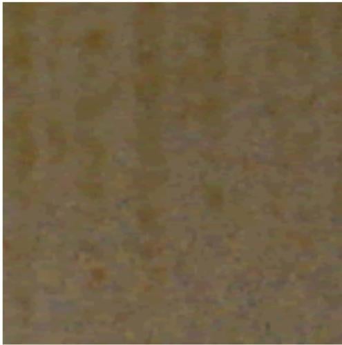 بودرة قليز (الخريف الأصفر ) CGT18