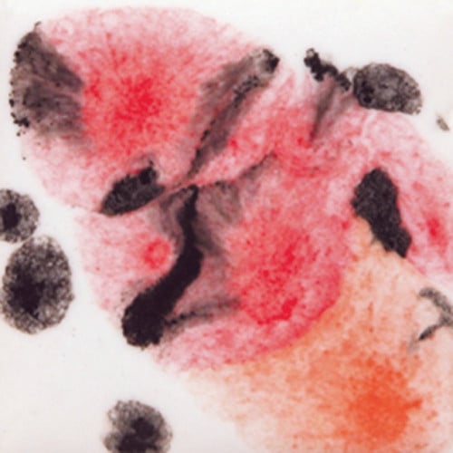 S 2727 حقول الخشخاش قليز كريستالي (118ml)