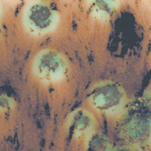 Cappuccino Mint S-2709