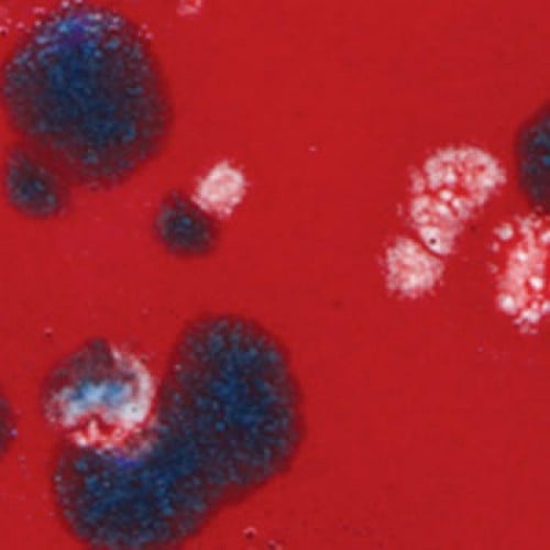 CTL-54 قليز كريستالي مفرقعة نارية (472ml)