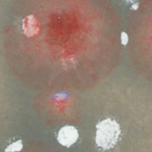 CTL-15 قليز كريستالي منظر القمري (472ml)