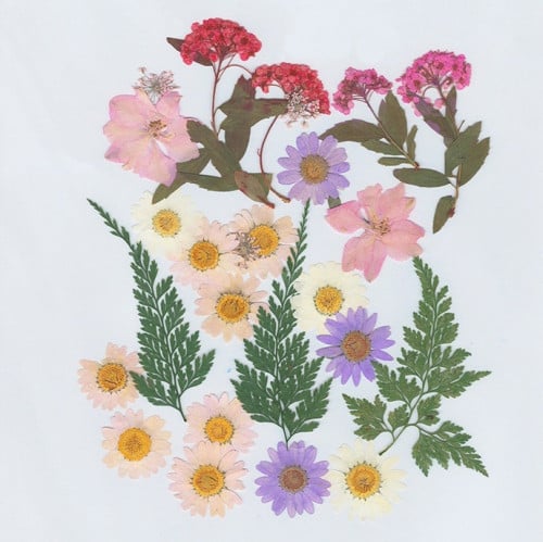 أدوات الريزن-عالم الهوايات