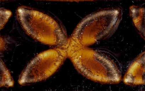 Glyz PC-64 Aventurine 16OZ