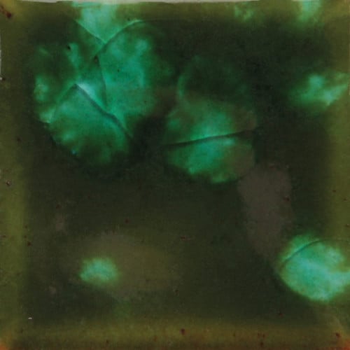 CG-707 Fantasy Woodland