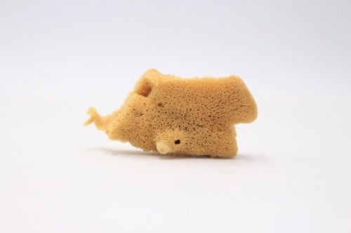 اسفنج طبيعي  قطعة واحدة