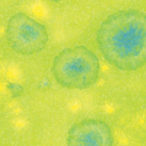 CTL-41 قليز كريستالي شمام (472ml)