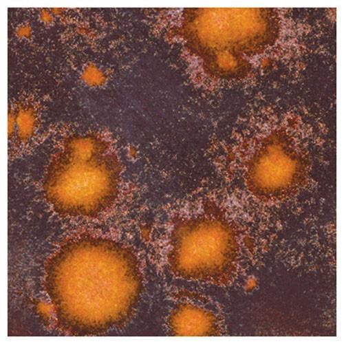 CTL-47 قليز كريستالي حلم يوسفي (472ml)