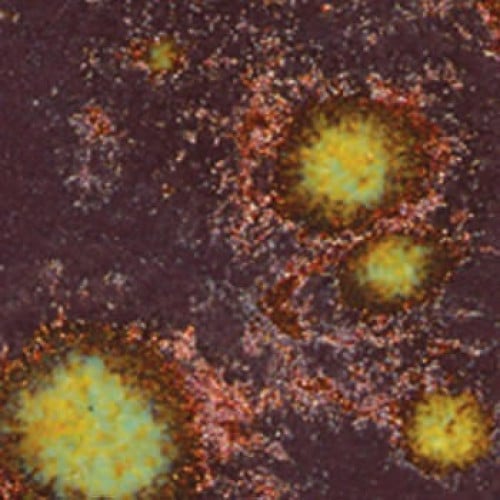 CTL-46 قليز كريستالي جوهرة اللازورد (472ml)